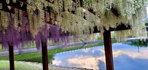 【岡山県総社市公園】清音ふるさとふれあい広場(きよねふるさとふれあいひろば)