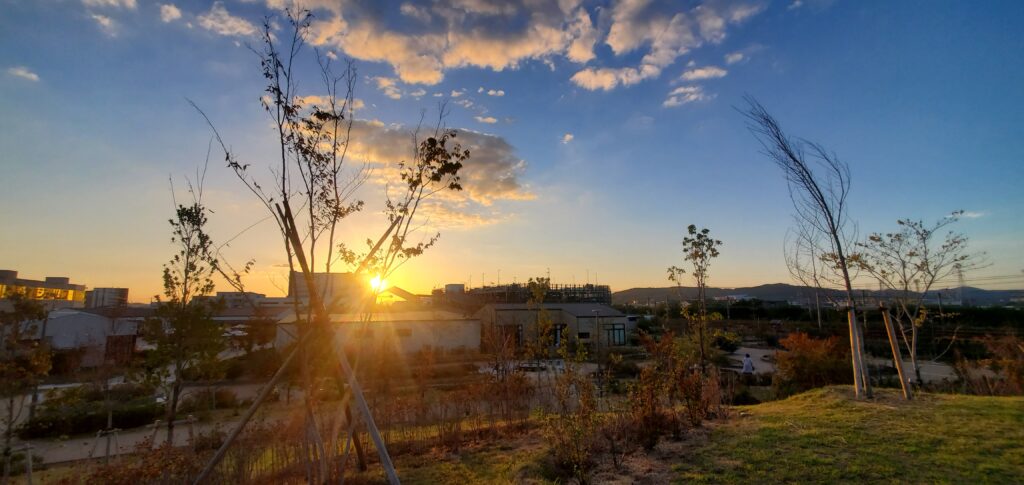 【岡山県岡山市北区】北長瀬未来ふれあい総合公園（北長瀬ブランチ横）