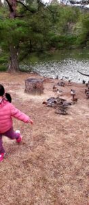 【岡山県玉野市お花見】深山公園(みやまこうえん)