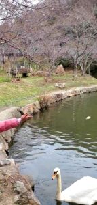 【岡山県都窪郡早島町】フォレスタ！早島町ふれあいの森公園（はやしまちょうふれあいのもりこうえん）【キャンプ】