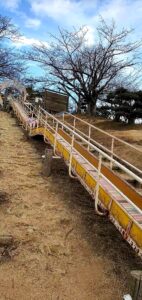 【岡山県倉敷市お花見】種松山公園西園地（たねまつやまこうえん）