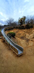 【岡山県倉敷市お花見】種松山公園西園地（たねまつやまこうえん）