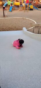 【岡山県倉敷市】財の山公園(ざいのやまこうえん)