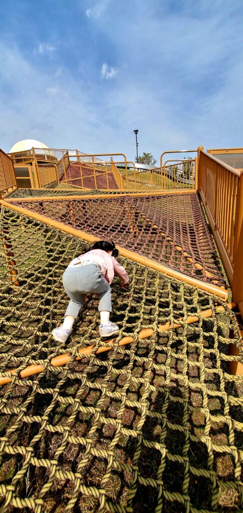 【岡山県浅口郡里庄町】つばきの丘運動公園（藤井風さん公園）