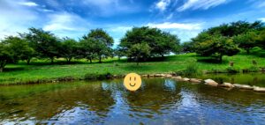 【岡山県岡山市中区水遊びお花見】百間川せせらぎ広場(ひゃっけんがわせせらぎひろば)