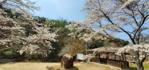 【岡山県高梁市】高梁自然公園(たかはししぜんこうえん)