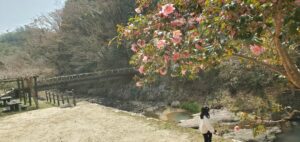 【岡山県高梁市】高梁自然公園(たかはししぜんこうえん)
