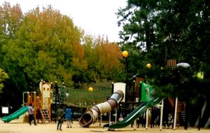 【岡山県倉敷市お花見】酒津公園(さかづこうえん)【イオン倉敷横】