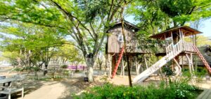 【岡山県岡山市東区公園カフェ】OKAYAMA GARDEN（オカヤマガーデン）