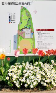 【岡山県岡山市東区】西大寺緑花公園(さいだいじりょっかこうえん)