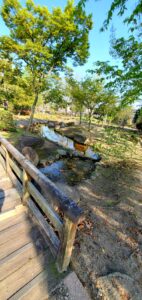 【岡山県岡山市東区】西大寺緑花公園(さいだいじりょっかこうえん)