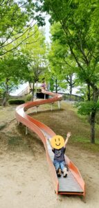 【岡山県笠岡市】かさおか古代の丘スポーツ公園(こだいのおかすぽーつこうえん)【恐竜公園】