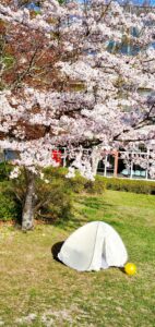 【岡山県加賀郡吉備中央町】吉備中央公園キッズパーク(きびちゅうおうこうえん)