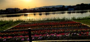 【岡山県倉敷市】溜川公園(ためかわこうえん)