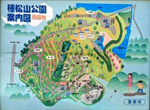 【岡山県倉敷市お花見】種松山公園西園地(たねまつやまこうえん)