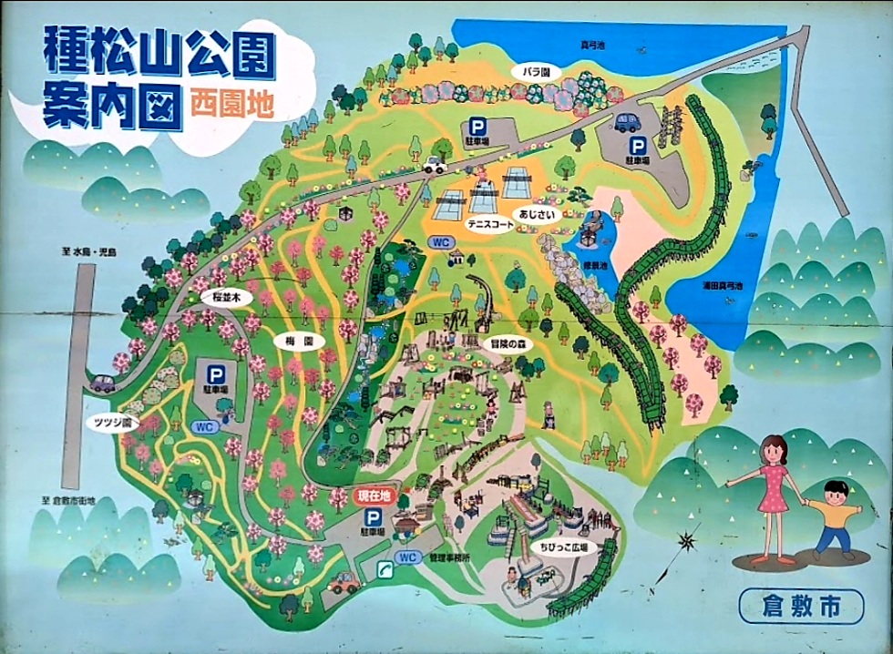 【岡山県倉敷市】種松山公園西園地（たねまつやまこうえん）