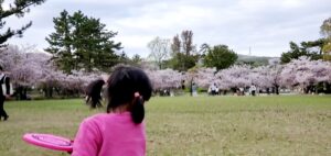 【岡山県倉敷市お花見】酒津公園(さかづこうえん)【イオン倉敷横】
