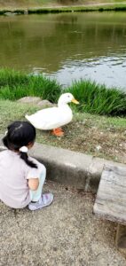 【岡山県勝田郡勝央町】農業公園おかやまファーマーズマーケットノースヴィレッジ