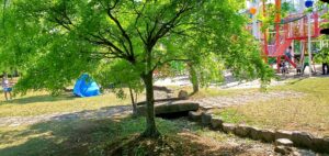 【岡山県勝田郡奈義町】奈義町総合運動公園(なぎちょうそうごううんどうこうえん)