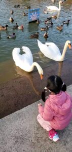 【岡山県総社市公園】清音ふるさとふれあい広場(きよねふるさとふれあいひろば)
