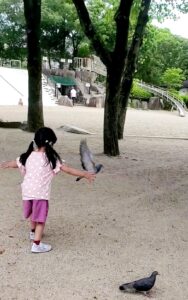 【岡山県岡山市北区公園】こどもの森(こどものもり)