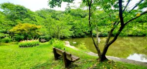 【岡山県都窪郡早島町】フォレスタ!早島町ふれあいの森公園(はやしまちょうふれあいのもりこうえん)【キャンプ】