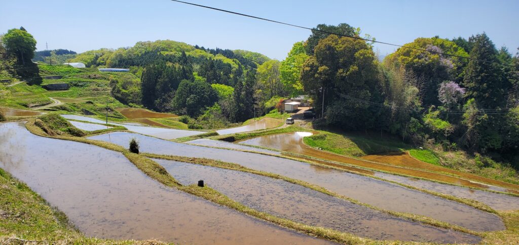 【岡山県久米郡美咲町パン屋カフェ】KoKoPelli（ココペリ）