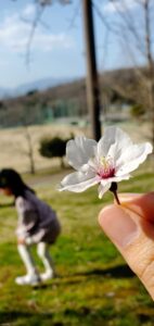 【岡山県美作市】勝田総合運動公園(かつたそうごううんどうこうえん)