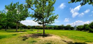 【岡山県玉野市水遊び】田井みなと公園(たいみなとこうえん)