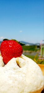 【岡山県岡山市北区パン屋カフェ】麦のひげ 津高店(むぎのひげつだかてん)