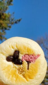 【岡山県総社市パン屋カフェ】namba bakery(ナンバベーカリー)