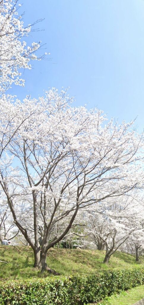 【岡山県総社市】砂川公園（すながわこうえん）