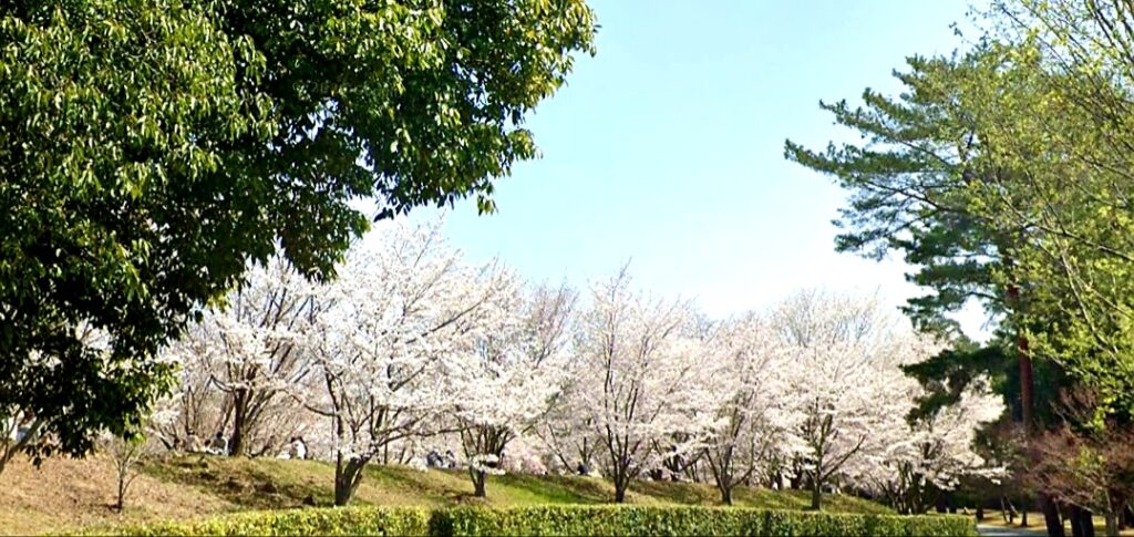 【岡山県総社市】砂川公園（すながわこうえん）