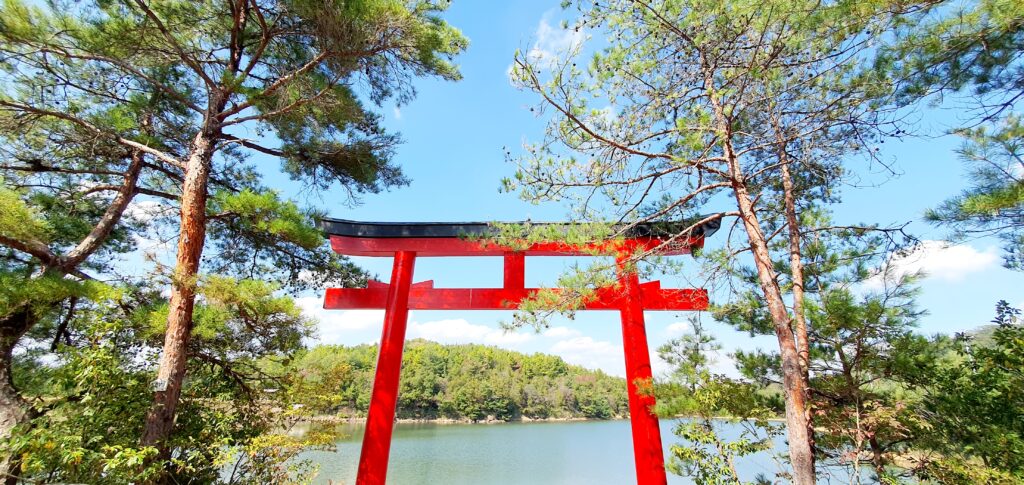 【岡山県真庭市】高岡神社御神木の神龍（たかおかじんじゃごしんぼくのシェンロン）