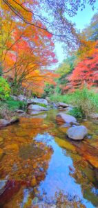 【岡山県総社市紅葉狩り】豪渓（ごうけい）