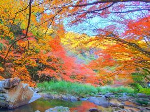 【岡山県総社市紅葉狩り】豪渓（ごうけい）