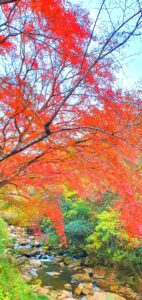 【岡山県総社市紅葉狩り】豪渓（ごうけい）