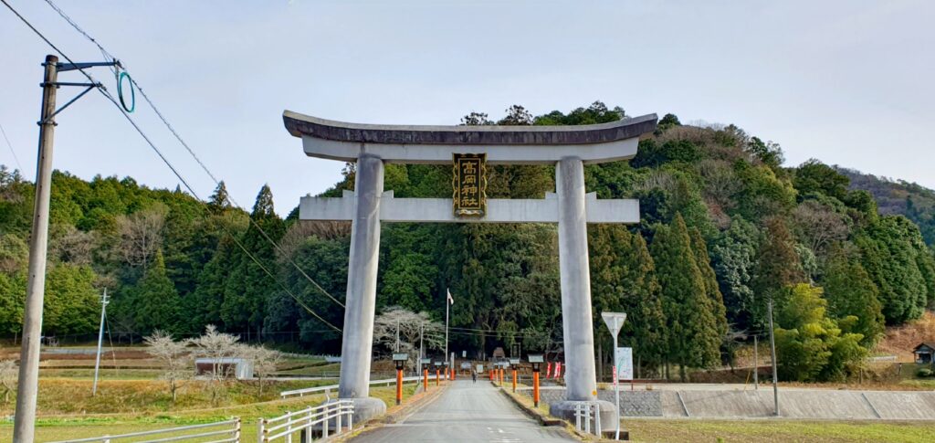 【岡山県真庭市】高岡神社御神木の神龍（たかおかじんじゃごしんぼくのシェンロン）