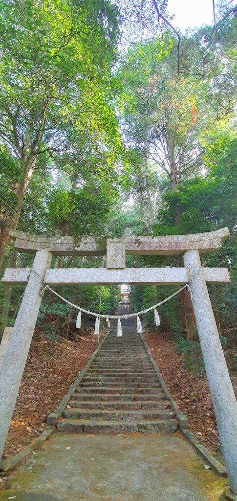 【岡山県真庭市】高岡神社御神木の神龍（たかおかじんじゃごしんぼくのシェンロン）