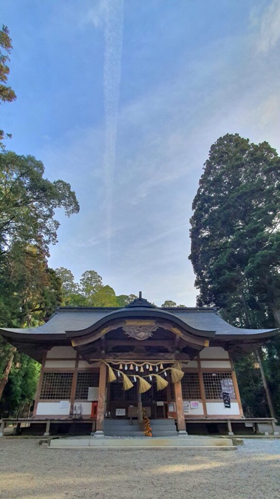 【岡山県真庭市】高岡神社御神木の神龍（たかおかじんじゃごしんぼくのシェンロン）