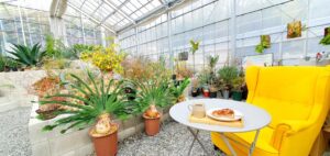 【岡山市中区パン屋カフェ】迷宮植物園BALTHAZAR/Beck(バルタザール/ベック)