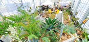 【岡山市中区パン屋カフェ】迷宮植物園BALTHAZAR/Beck(バルタザール/ベック)