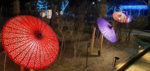 【岡山県岡山市東区】西大寺緑花公園（さいだいじりょっかこうえん）