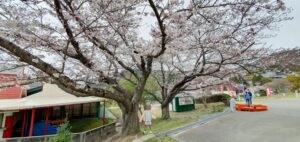 【岡山県瀬戸内市公園】道の駅黒井山グリーンパーク(くろいさん)