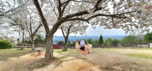 【岡山県瀬戸内市】道の駅一本松展望園ミニ鉄道公園(いっぽんまつてつどうこうえん)