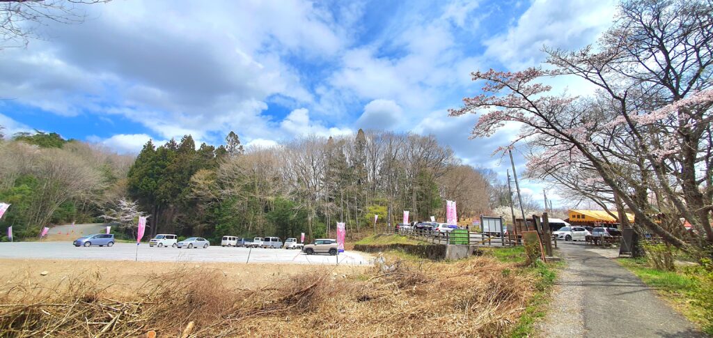 【岡山県新見市】羅生門桜公園（らしょうもんさくらこうえん）