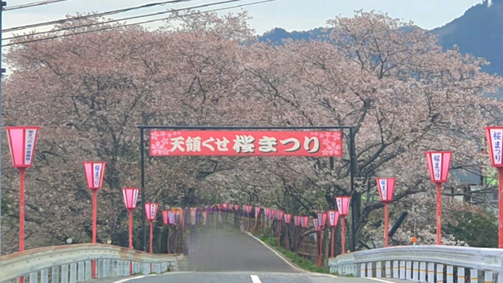 【岡山県真庭市】久世トンネル桜（くせとんねるざくら）