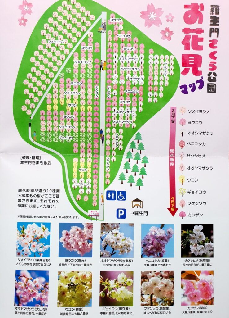 【岡山県新見市】羅生門桜公園（らしょうもんさくらこうえん）