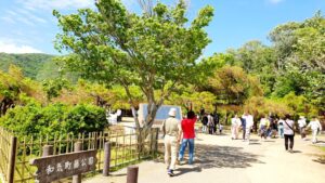 【岡山県和気郡和気町お花見】藤公園(ふじこうえん)/和気神社(わけじんじゃ)/芳嵐園(ほうらんえん)