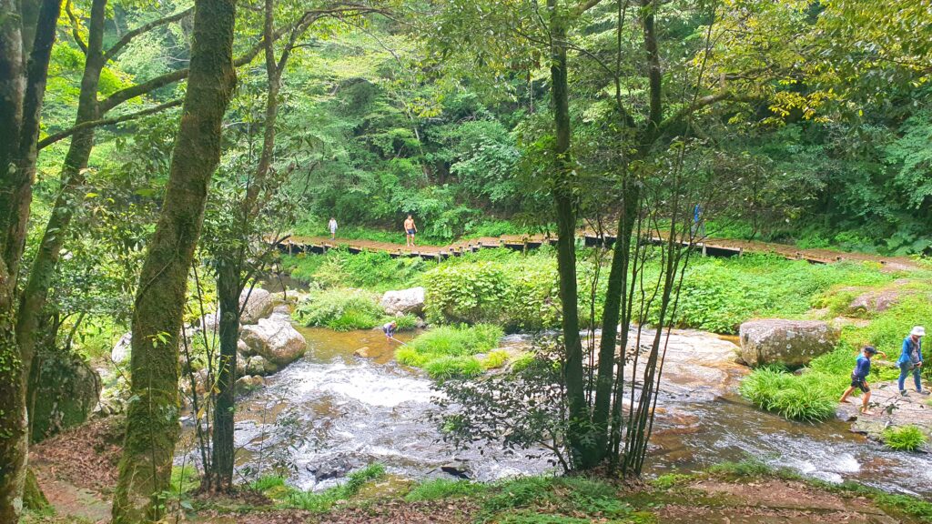 【岡山県加賀郡吉備中央町】鳴滝森林公園（なるたきしんりんこうえん）